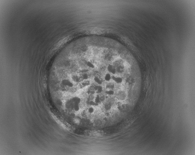 X0000080680683200701051035