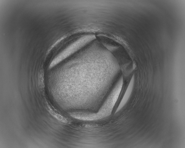 X0000080680684200701051035