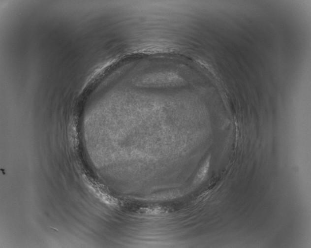 X0000080680688200701051035