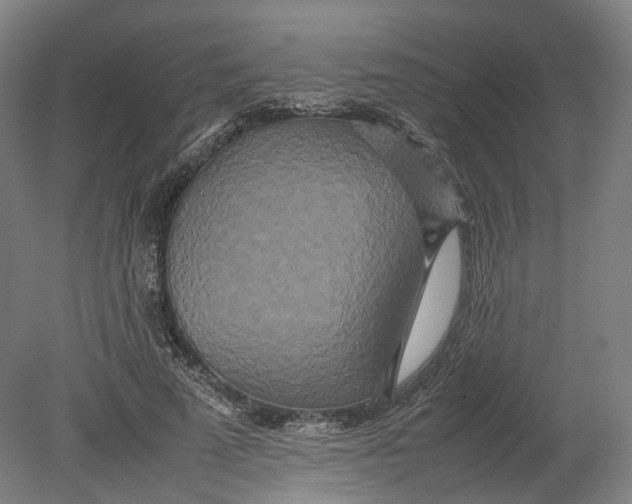 X0000080680689200701051035