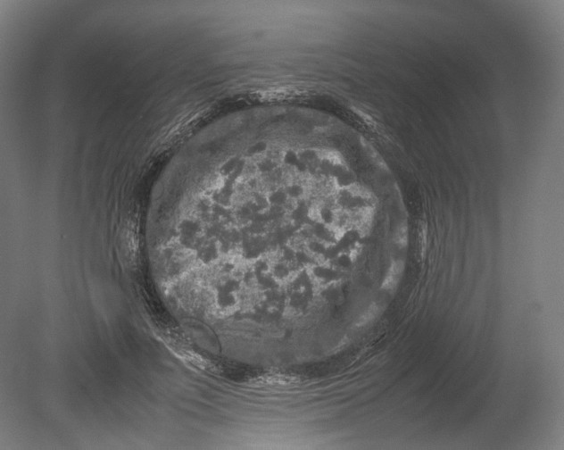 X0000080680691200701051035