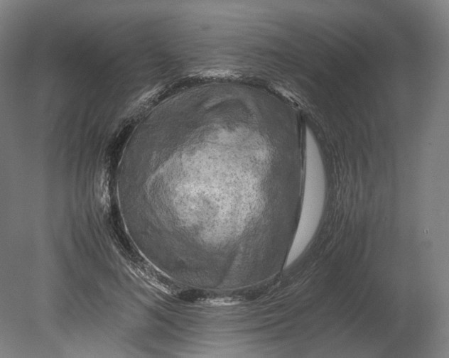 X0000080680692200701051034