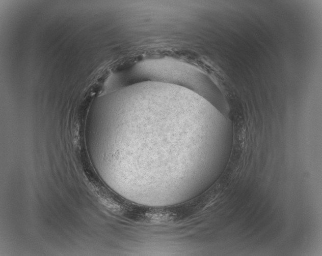 X0000080680693200701051034