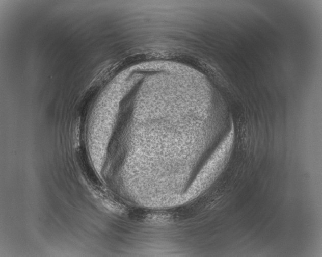 X0000080680694200701051034