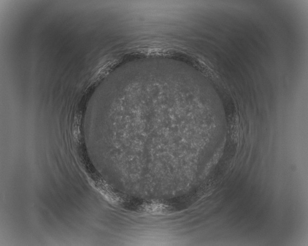 X0000080680695200701051034