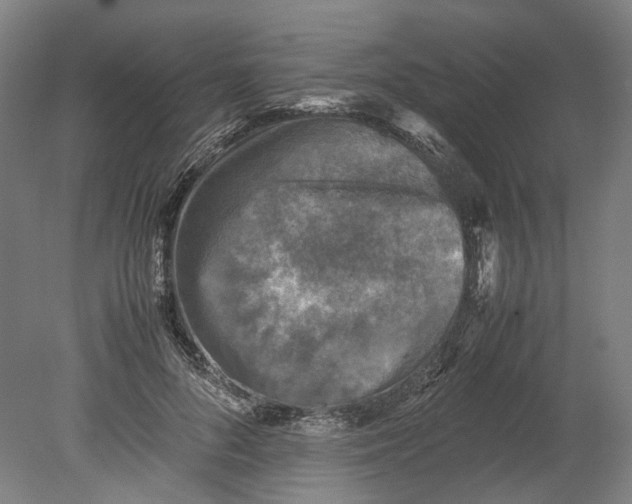 X0000080680696200701051034