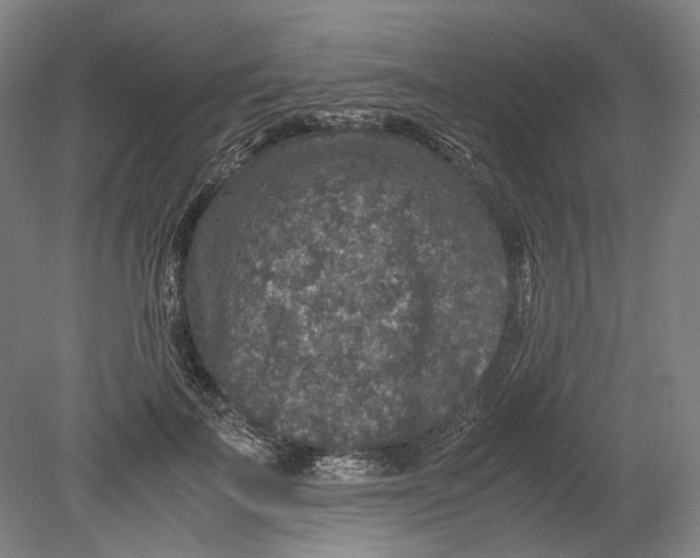 X0000080680699200701051034