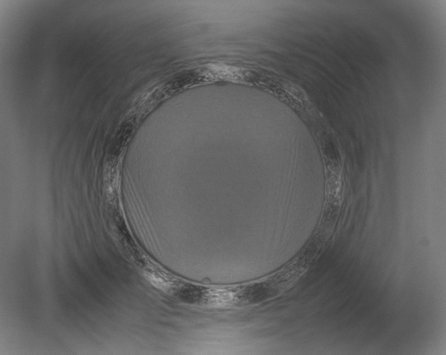 X0000080680701200701051034