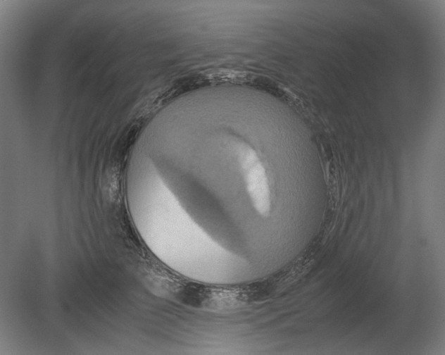 X0000080680709200701051034