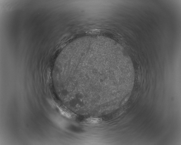 X0000080680711200701051034