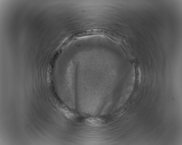 X0000080680712200701051034