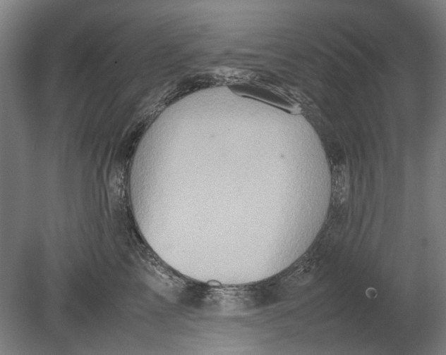 X0000080680713200701051034