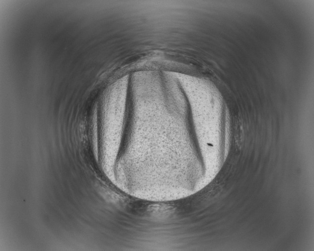 X0000080680714200701051034