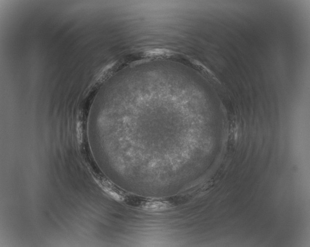 X0000080680716200701051034