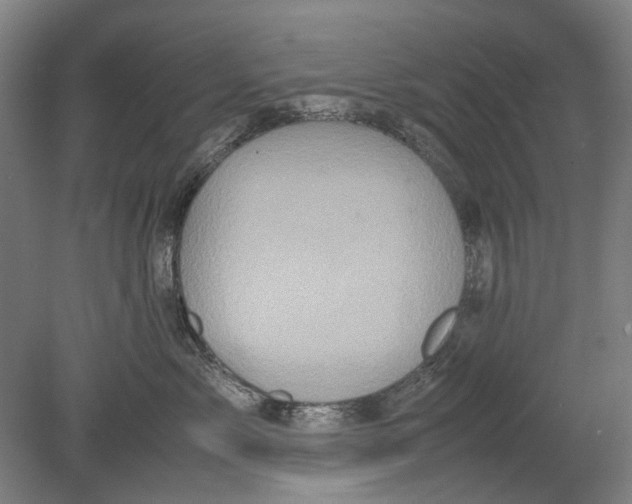 X0000080680717200701051034