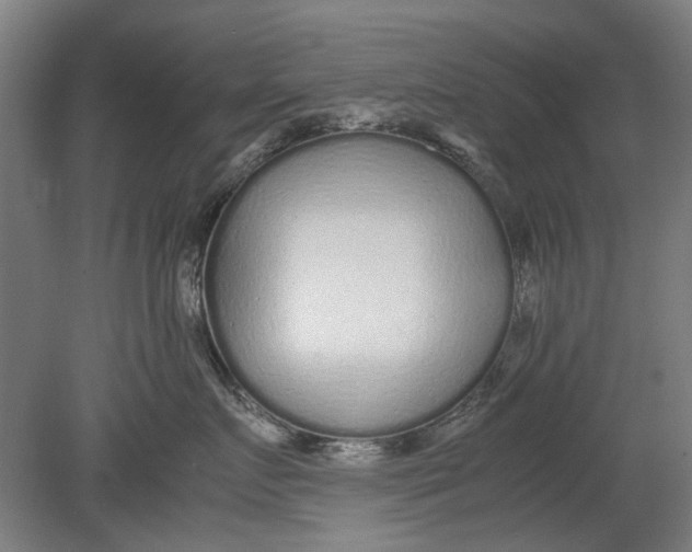 X0000080680719200701051034