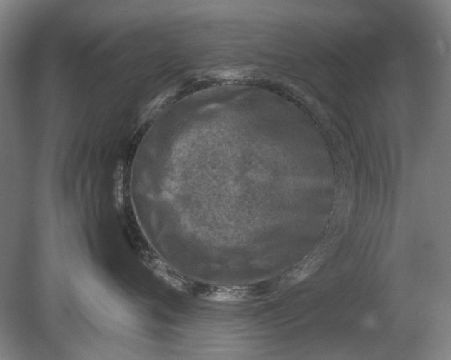 X0000080680720200701051034