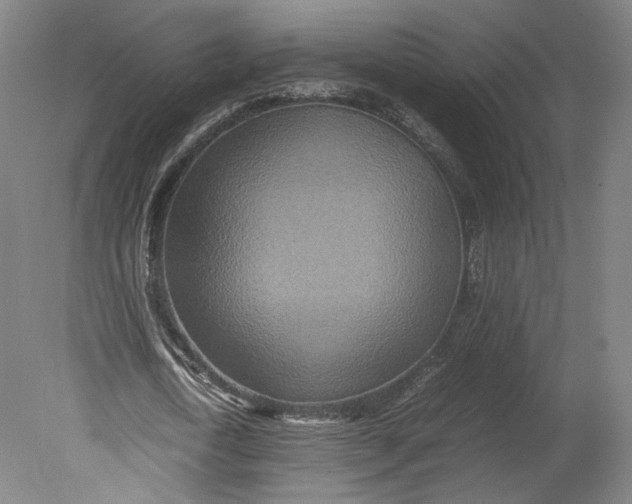 X0000080680722200701051033