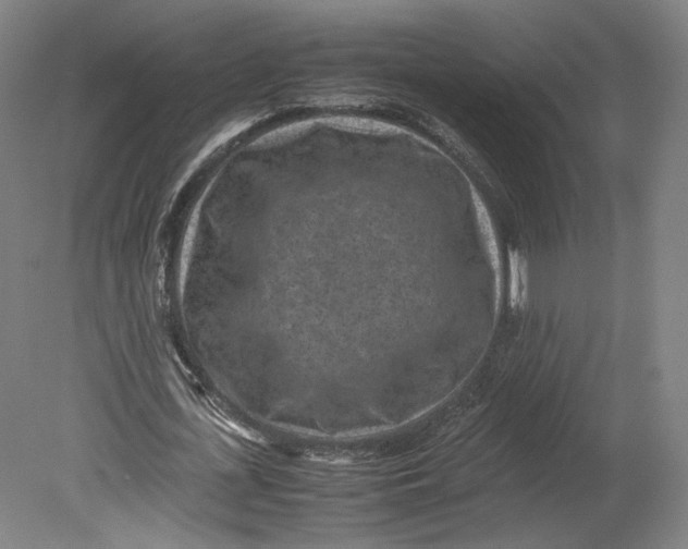 X0000080680723200701051033