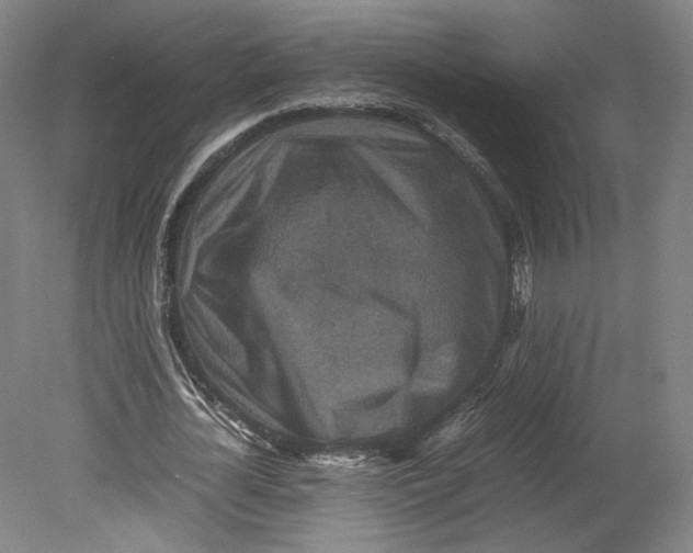 X0000080680724200701051033