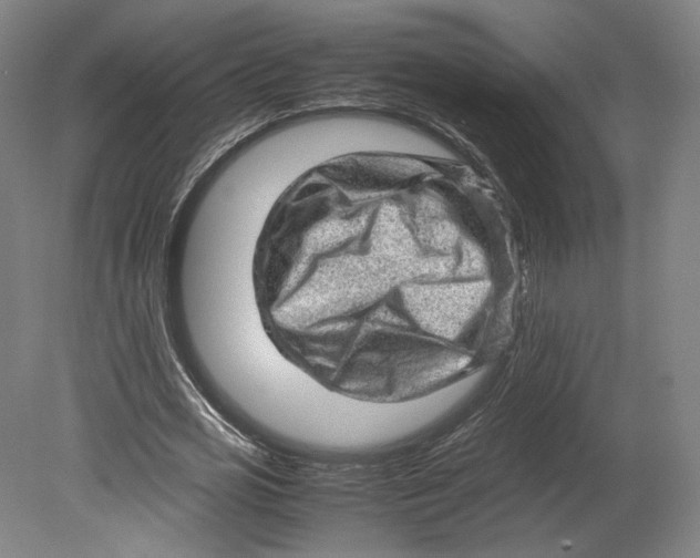 X0000080680725200701051033