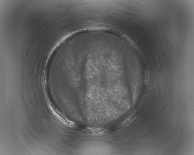 X0000080680726200701051033