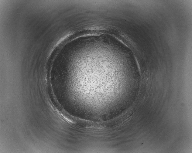 X0000080680727200701051033