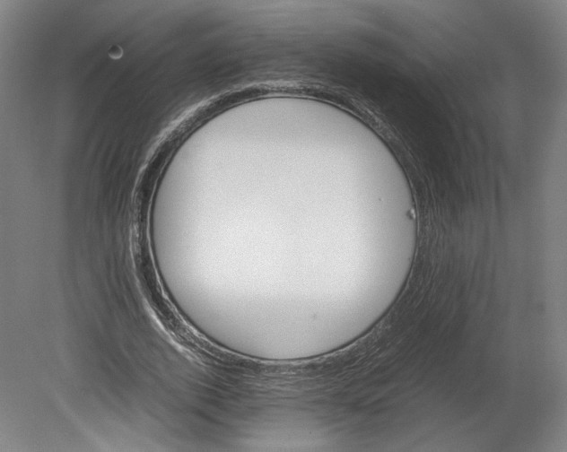 X0000080680728200701051033