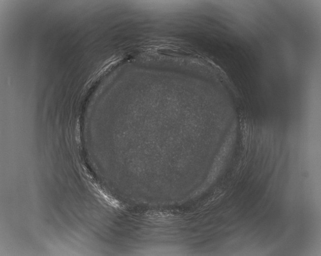 X0000080680729200701051033