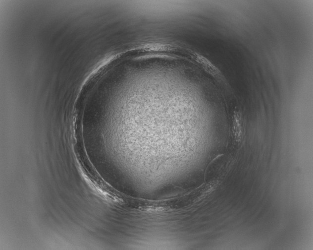 X0000080680730200701051033