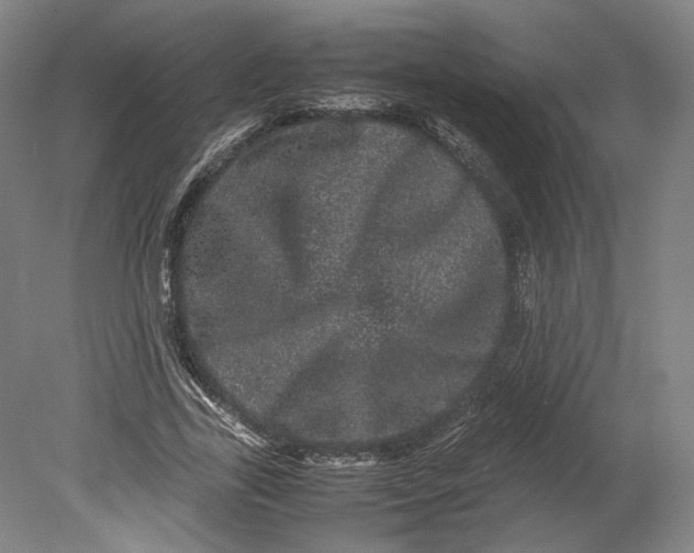 X0000080680731200701051033