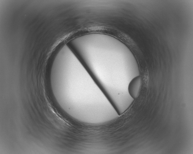 X0000080680732200701051033