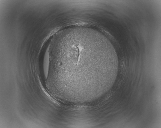 X0000080680734200701051033