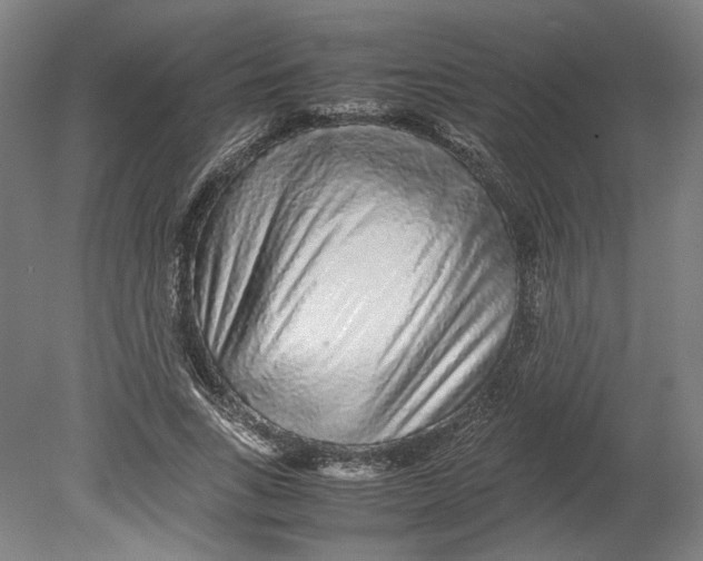 X0000080680735200701051033