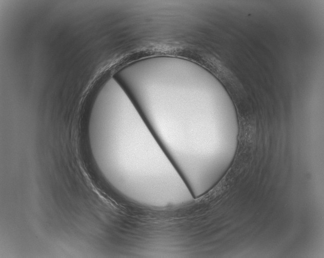 X0000080680736200701051033