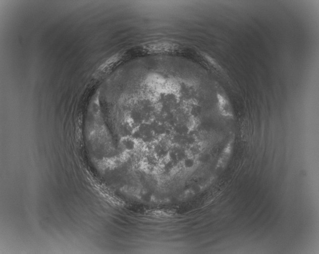 X0000080680737200701051033