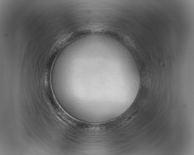 X0000080680740200701051034