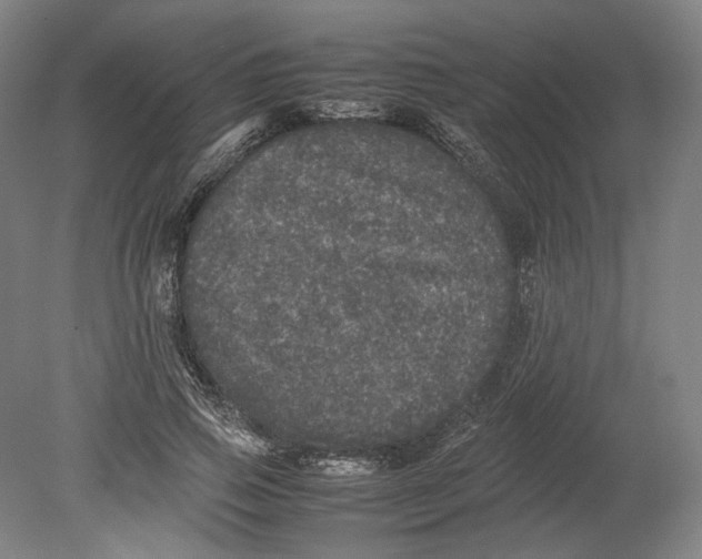 X0000080680741200701051034