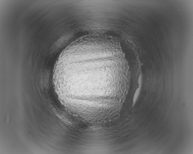 X0000080680742200701051034