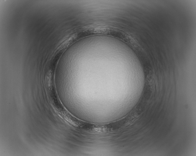 X0000080680744200701051034