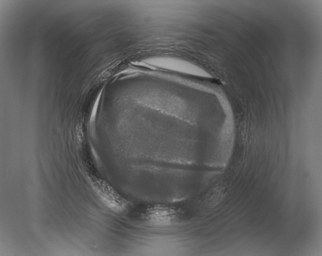 X0000080680746200701051034