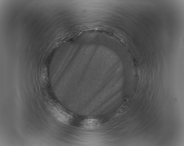 X0000080680748200701051034