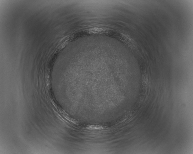 X0000080680749200701051034