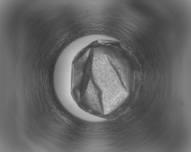 X0000080680750200701051034