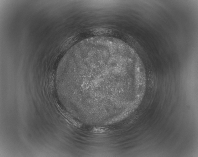 X0000080680753200701051034