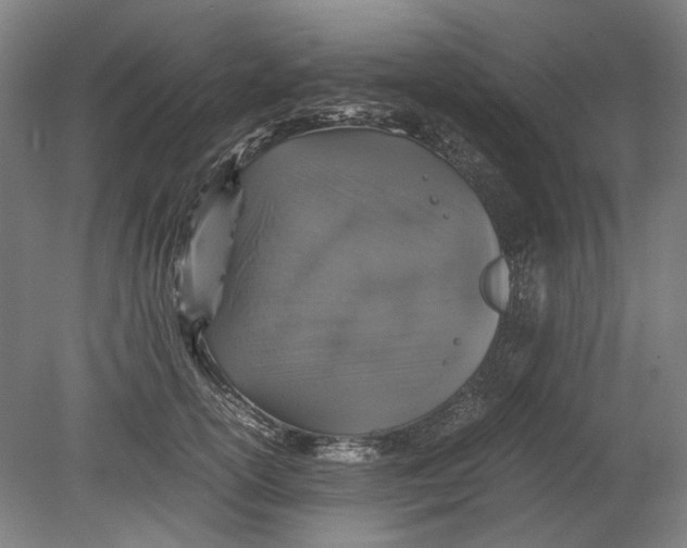 X0000080680754200701051034