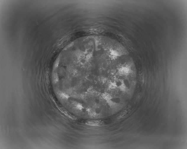 X0000080680757200701051034