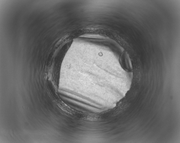 X0000080680758200701051034