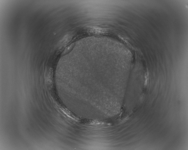 X0000080680760200701051034