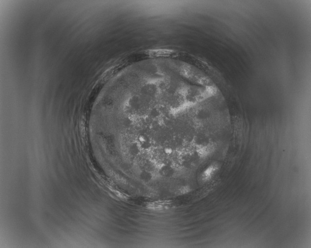 X0000080680761200701051034